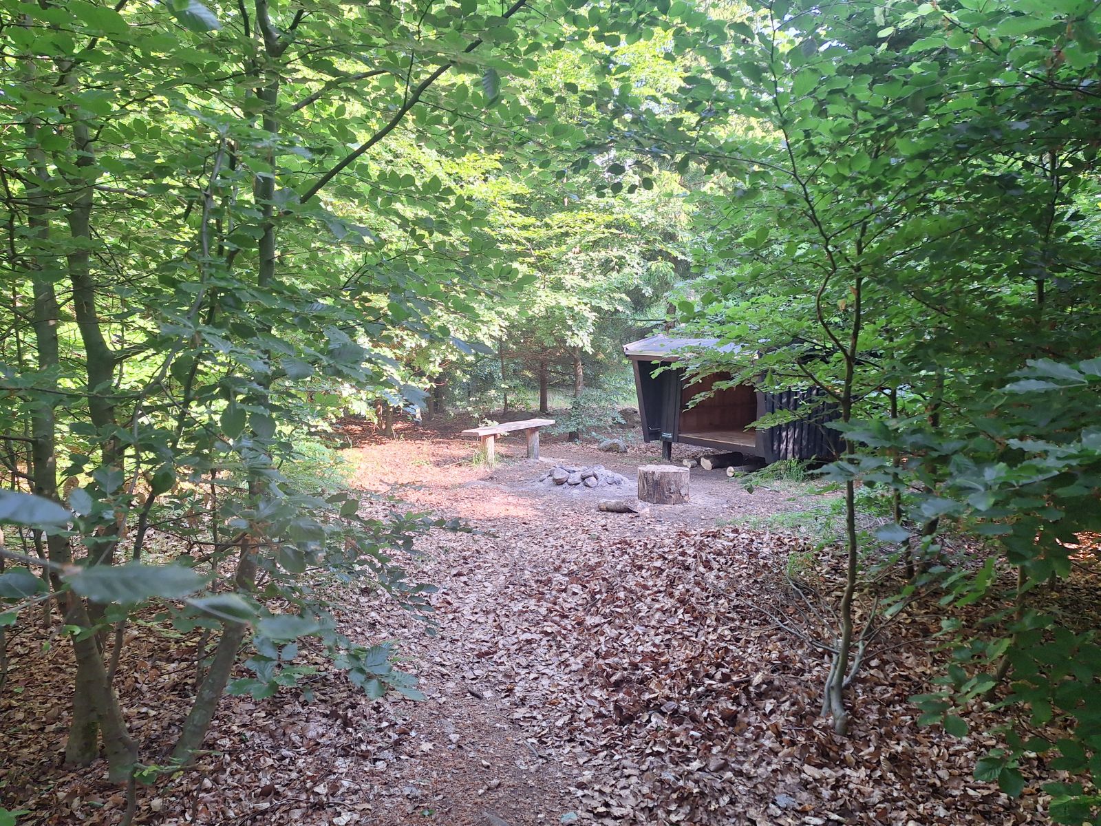 Shelter
