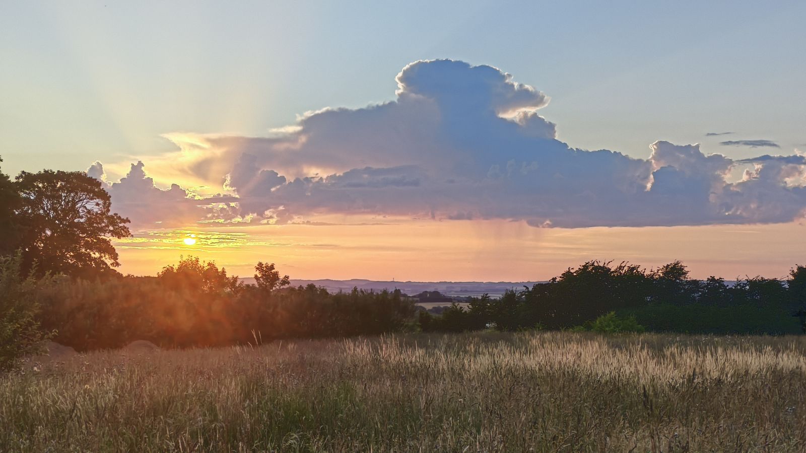 Solnedgang