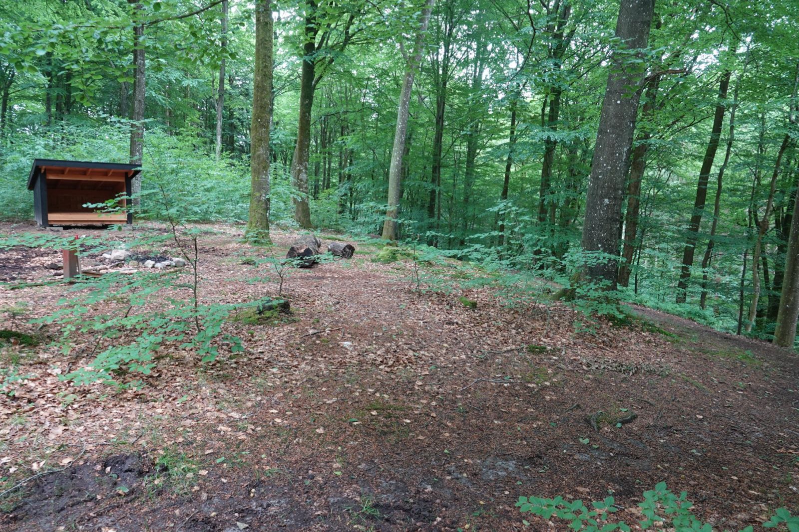 Shelterplads Vindum Skov - Shelter nr. 2 (ikke bookbar) – miniature 3