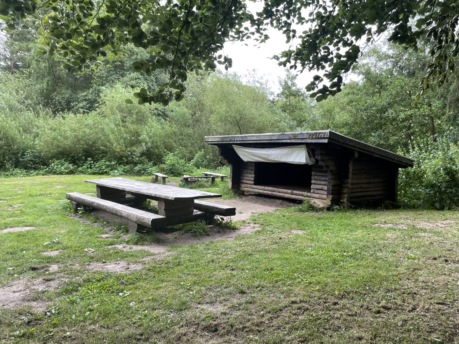 Shelter