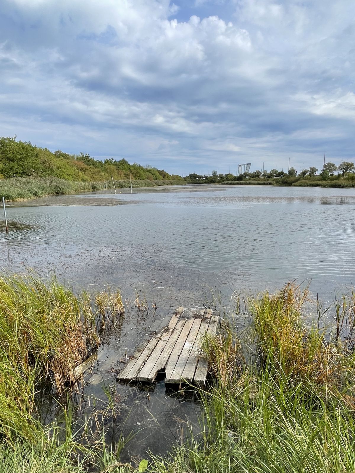 fiskeplads 