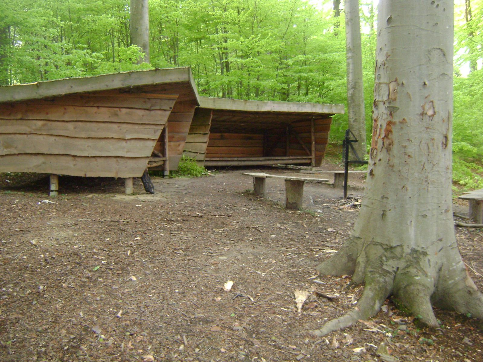 Lambjerg Indtægt - Shelter "Uglen" – miniature 2