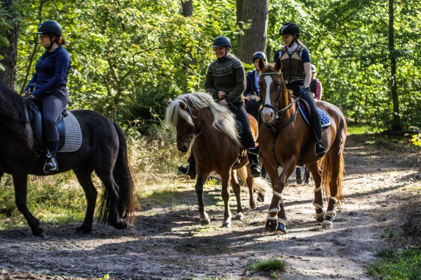 Ryttere på riderute