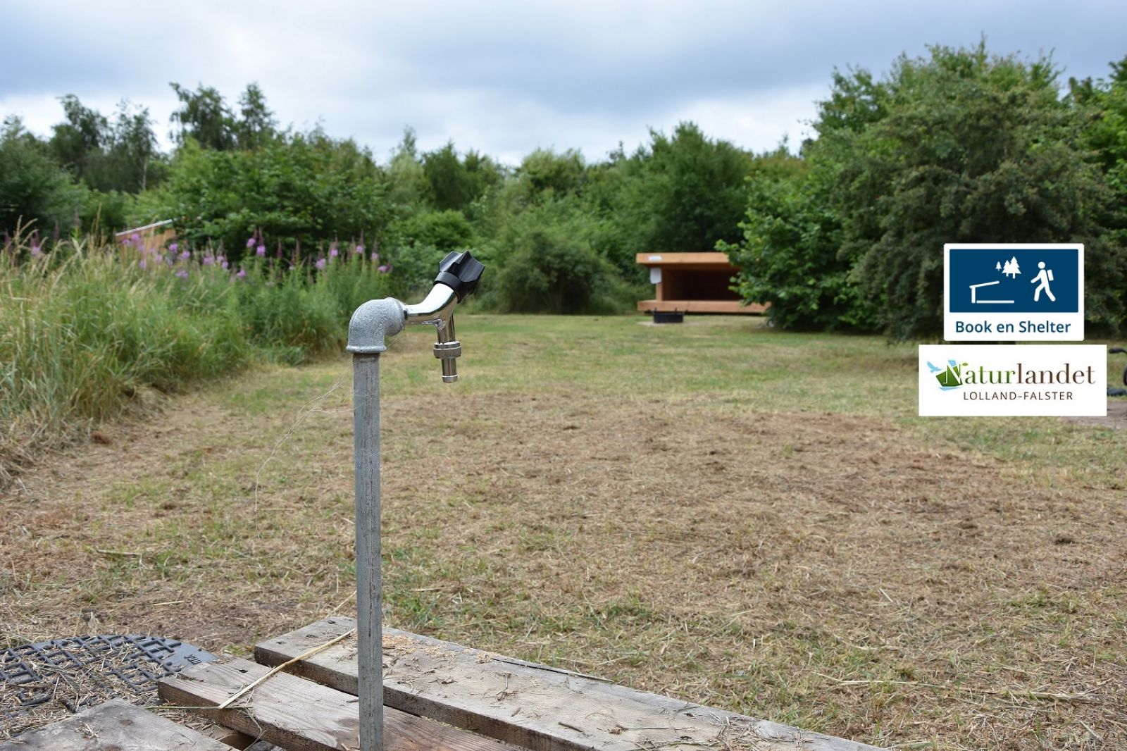 Femø – Lille Strandgård – miniature 2