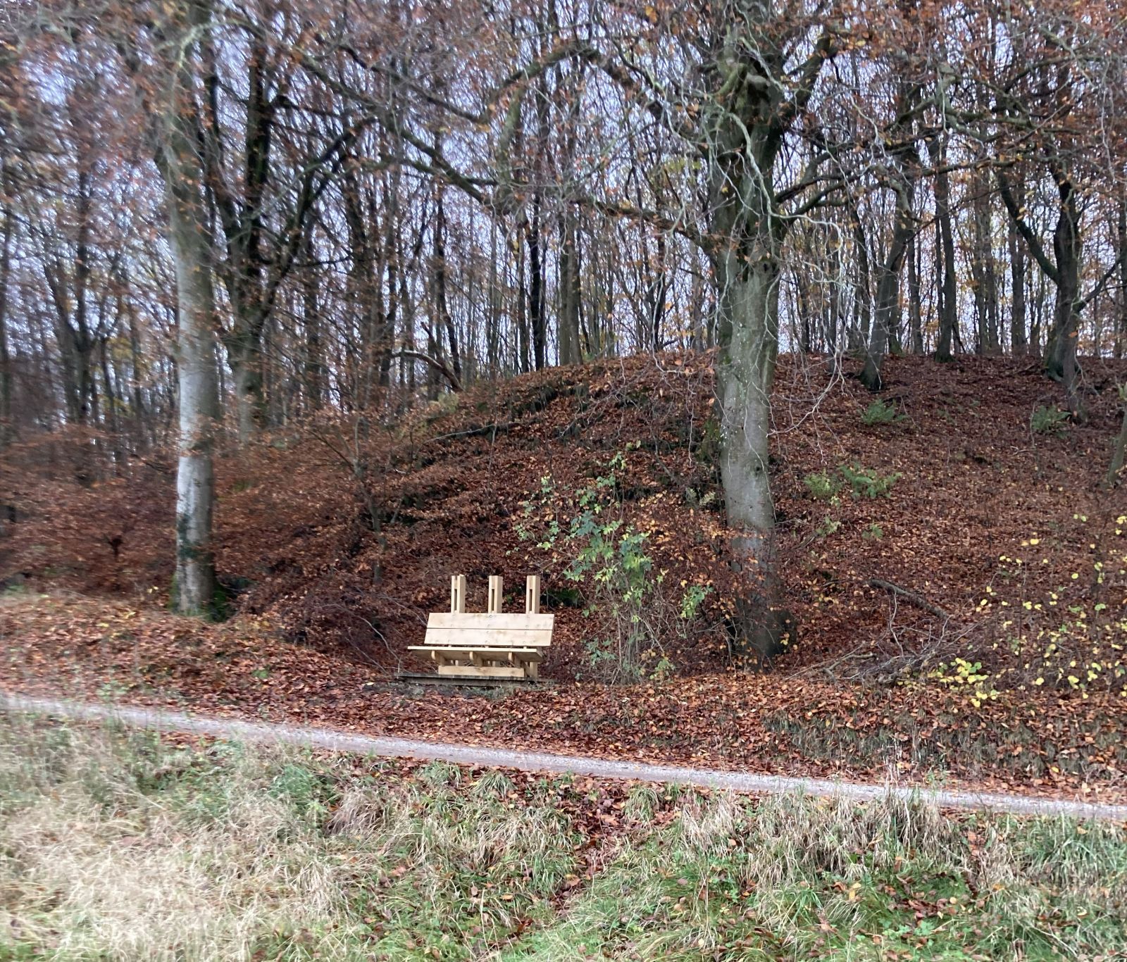 Markant bænk med tre søjler set forfra placeret op ad skoven