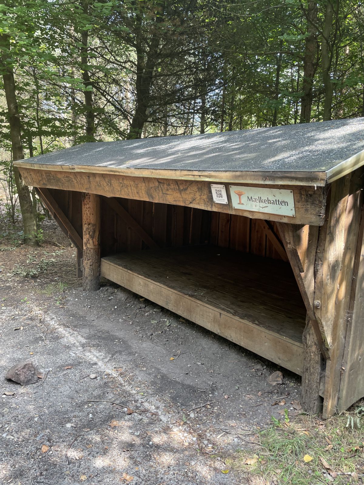 Shelter