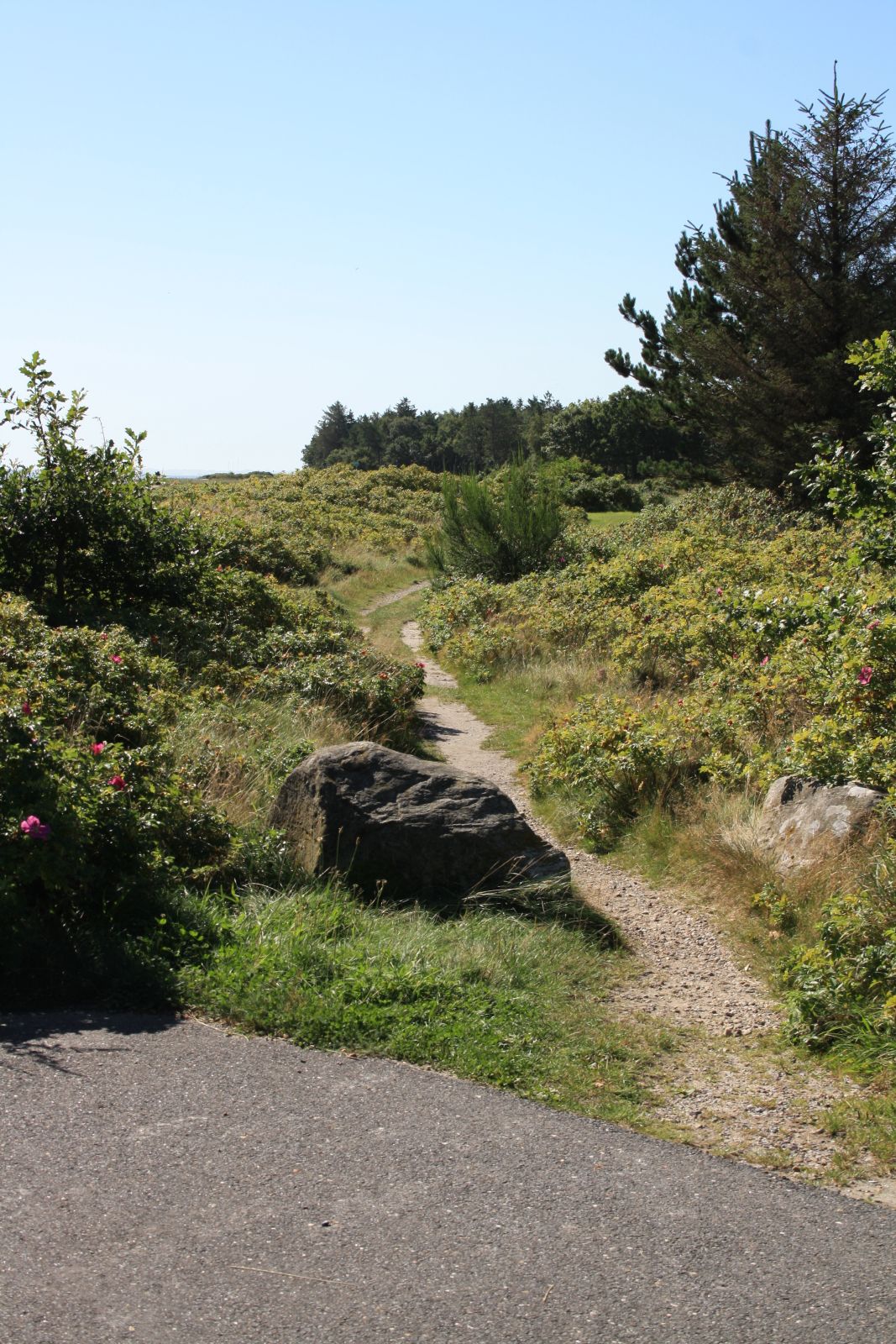 Hjertestien Søndbjerg Serup Strand