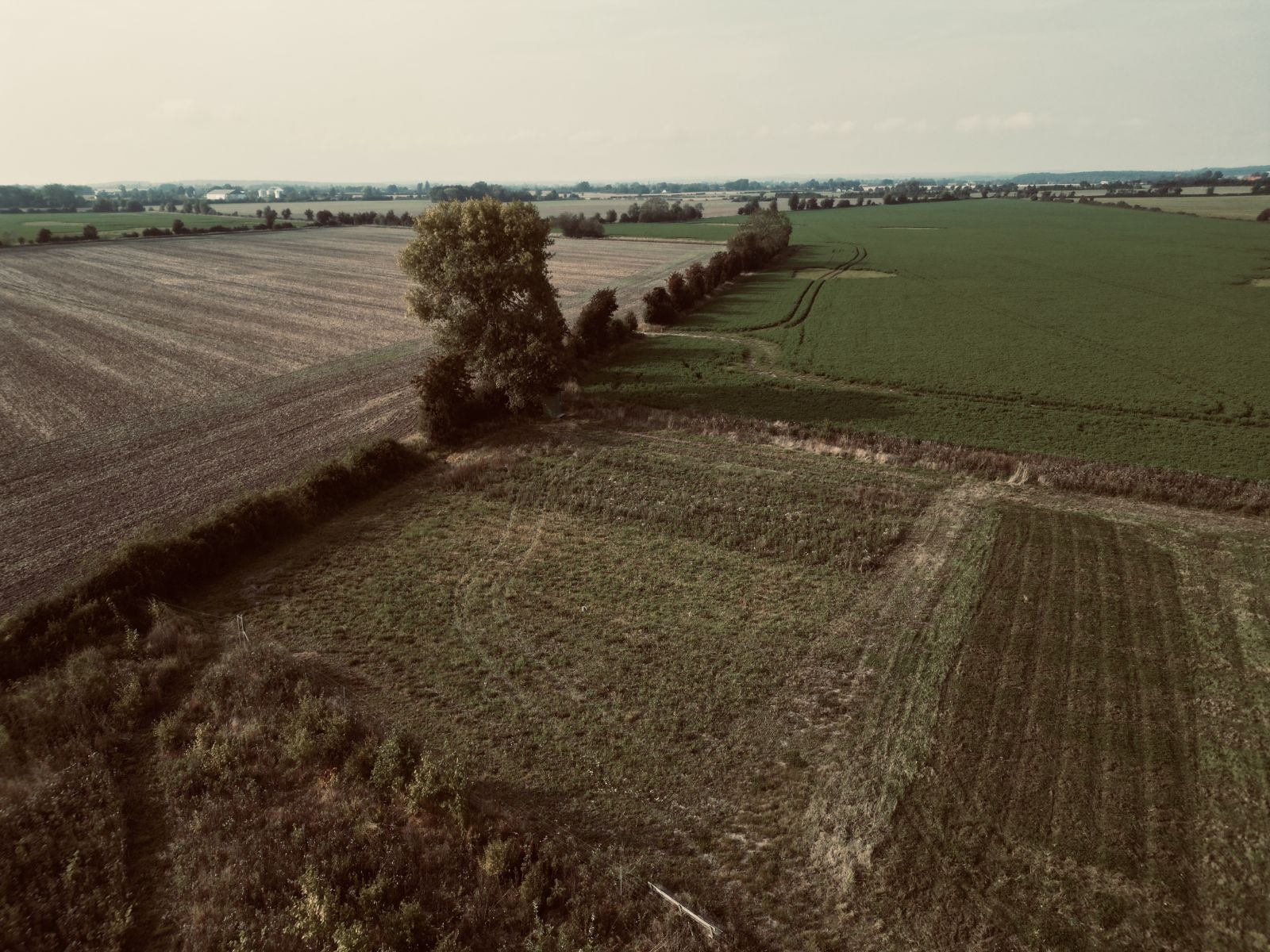 Billede fra Fanefjorden