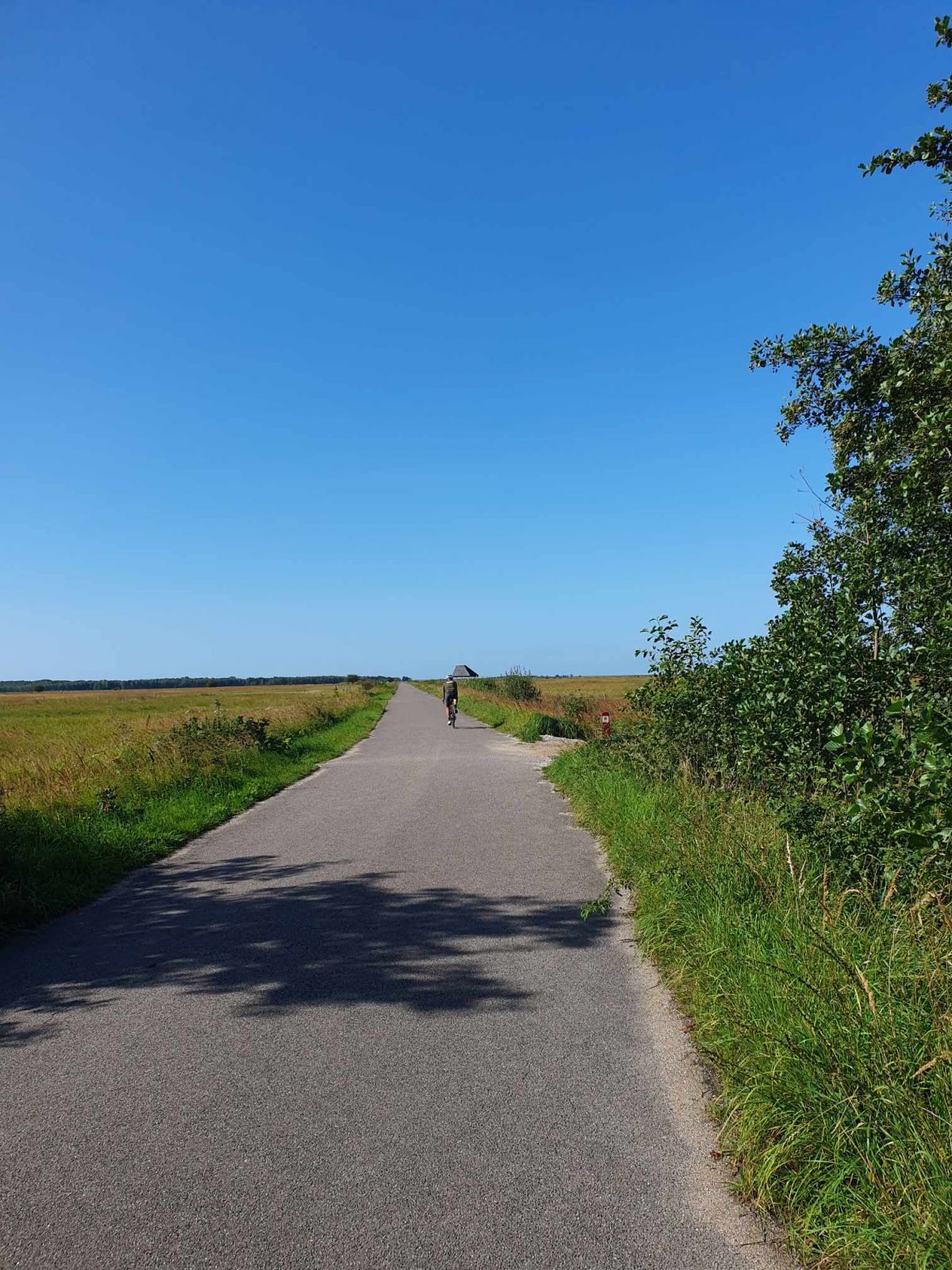 Rutens primære belægning er en bred asfaltsti, som har græs på begge sider.