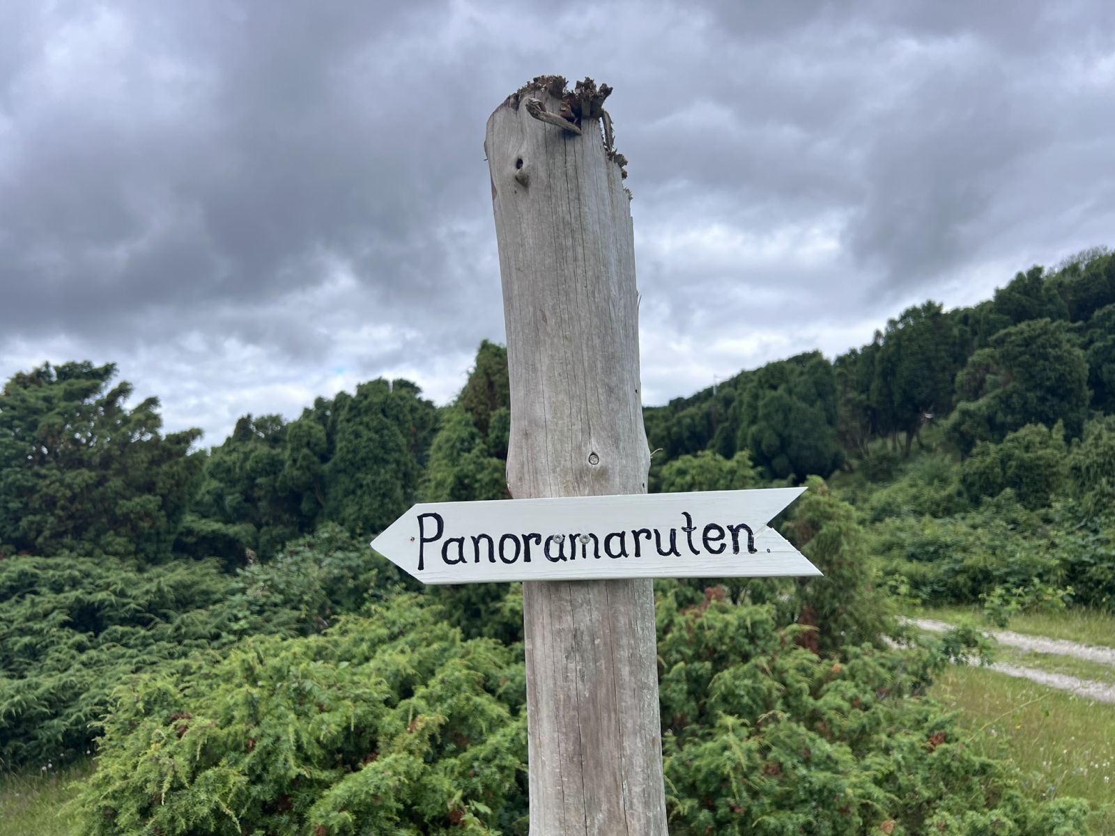 Træpæl med pileformet skilt hvor der står "Panoramaruten"