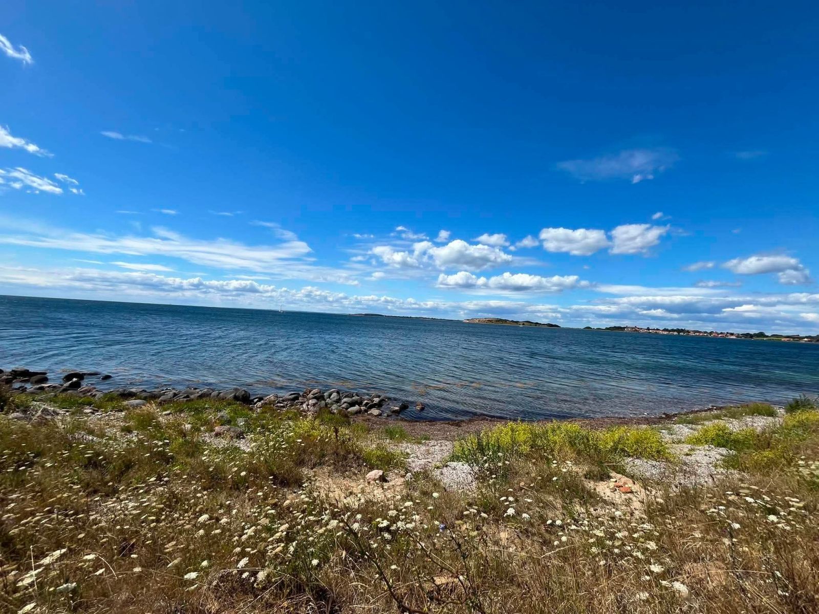 Bjørnøstemning