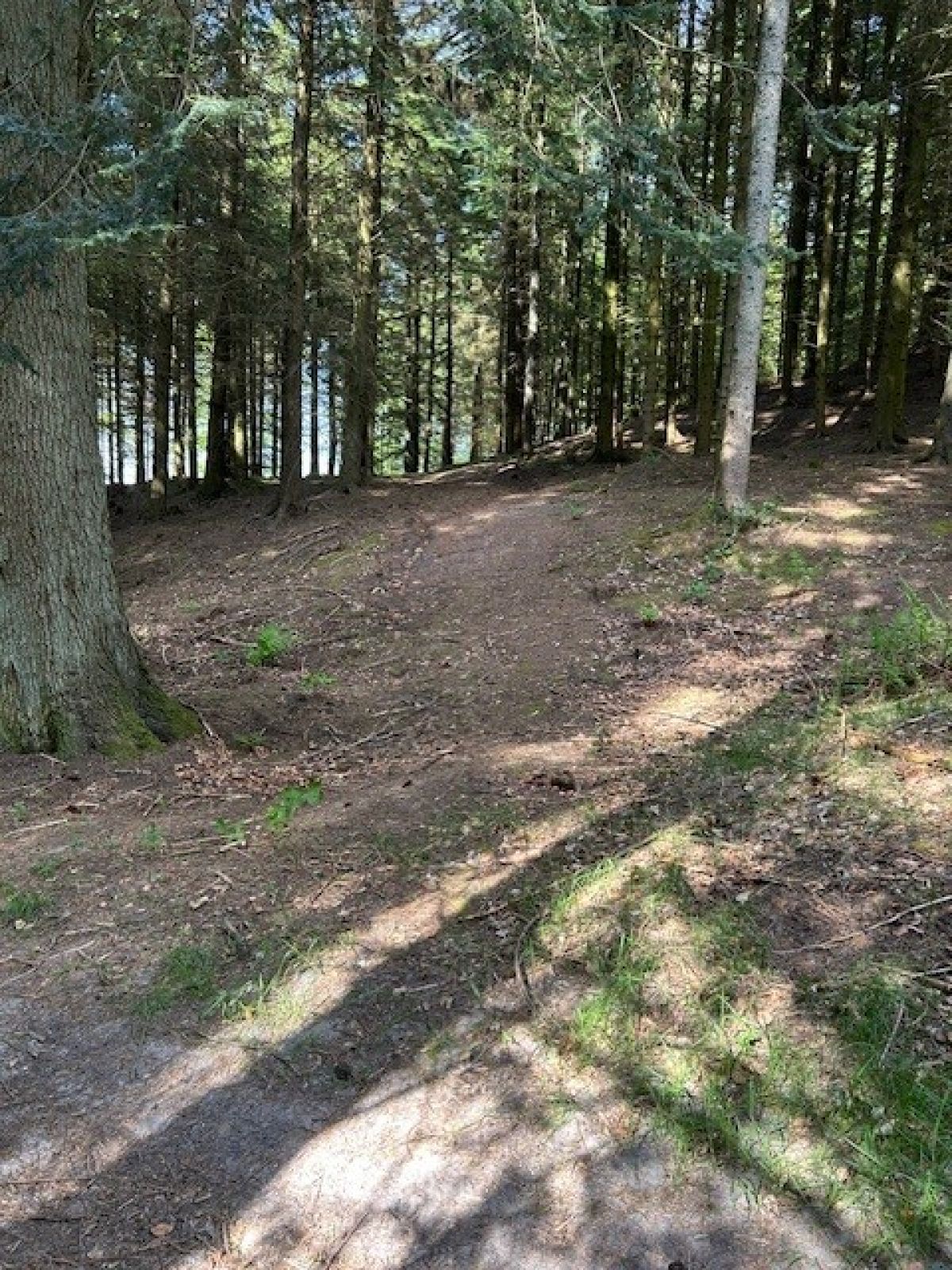 Legind Bjerge Plantage