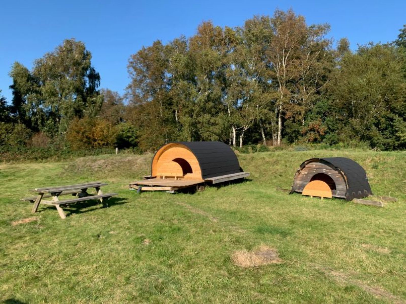 Shelterplads Læsø – miniature 3