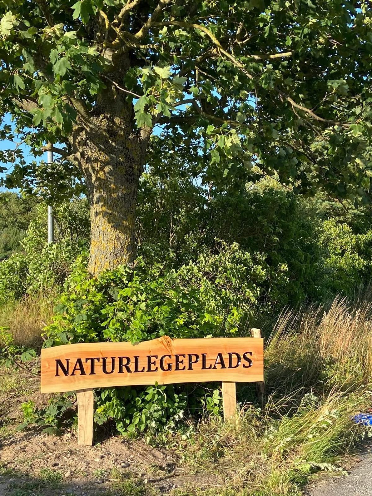 Et træskilt med teksten 