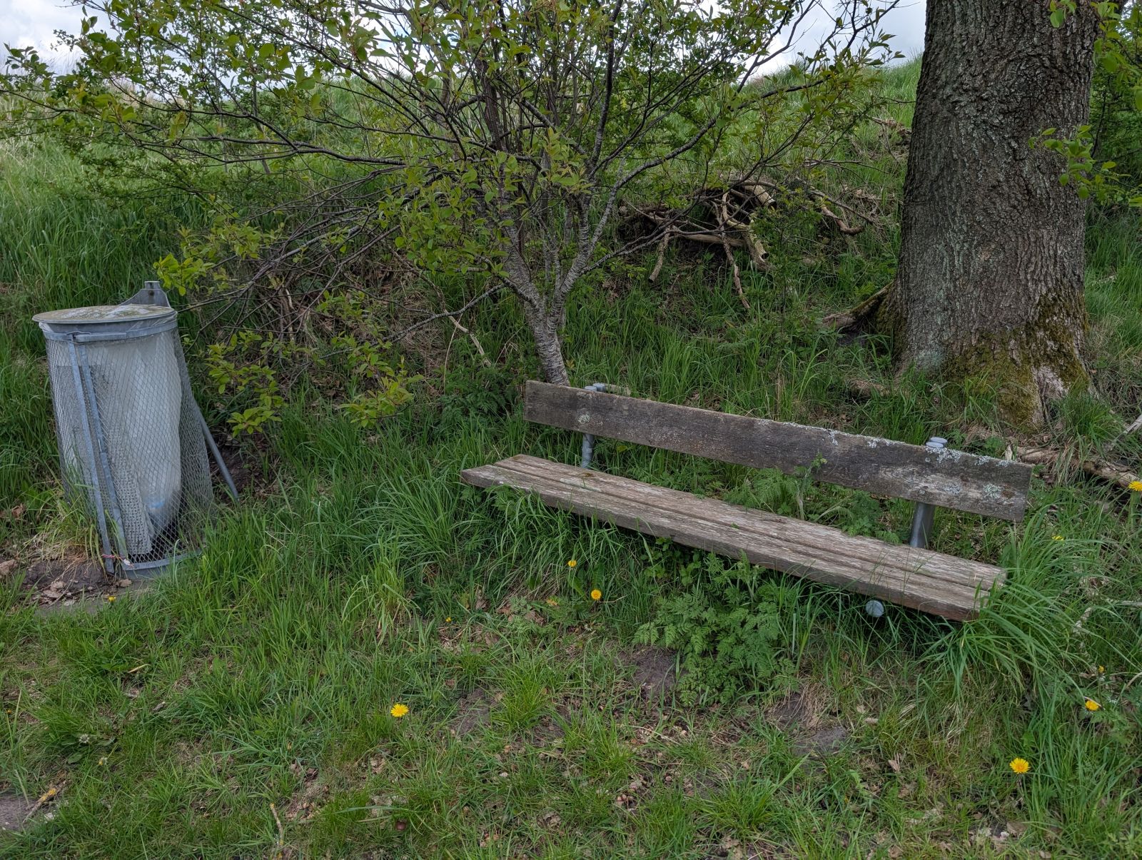 Bænk