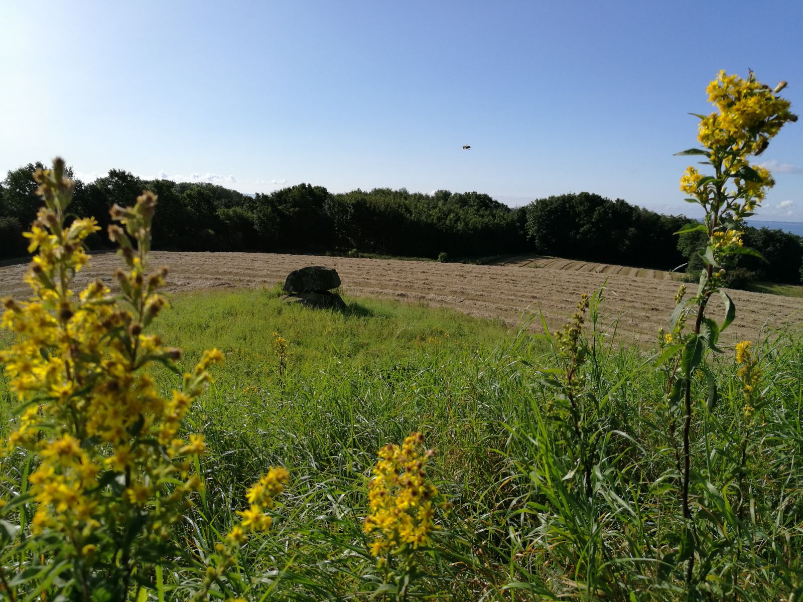 Duereds Vænge. Fortidsminde. 