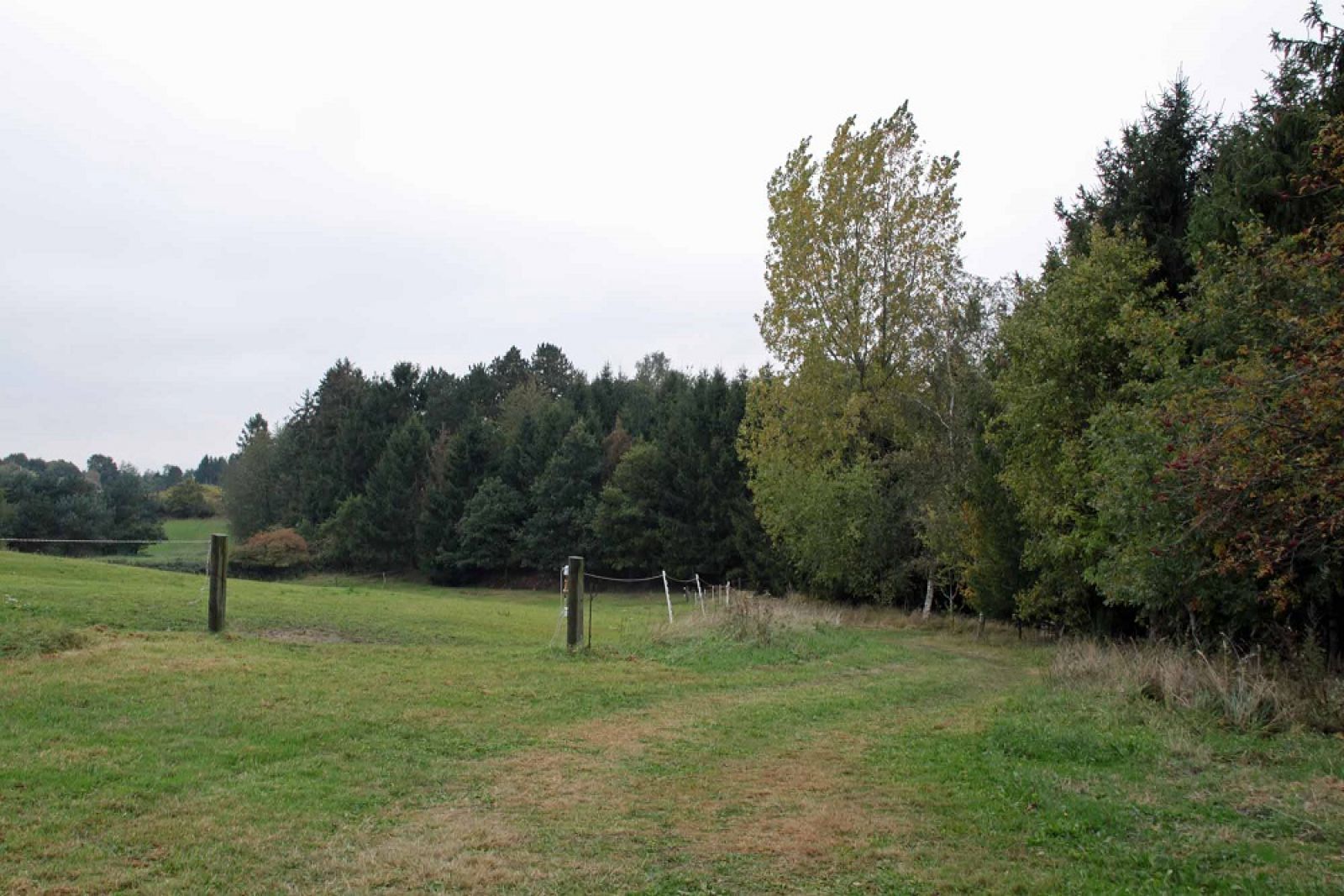 Åmosenaturcamp – miniature 4