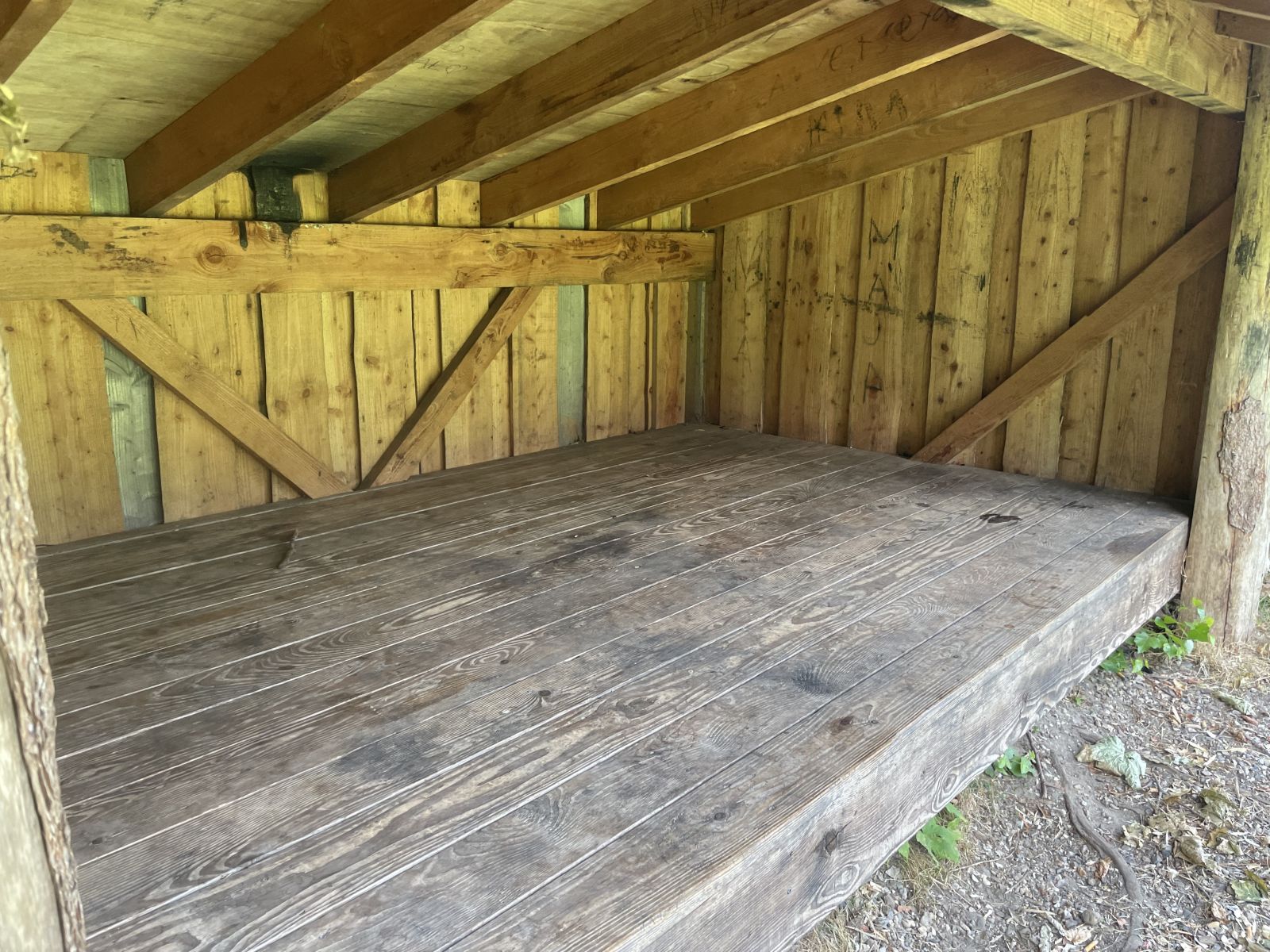 Shelter
