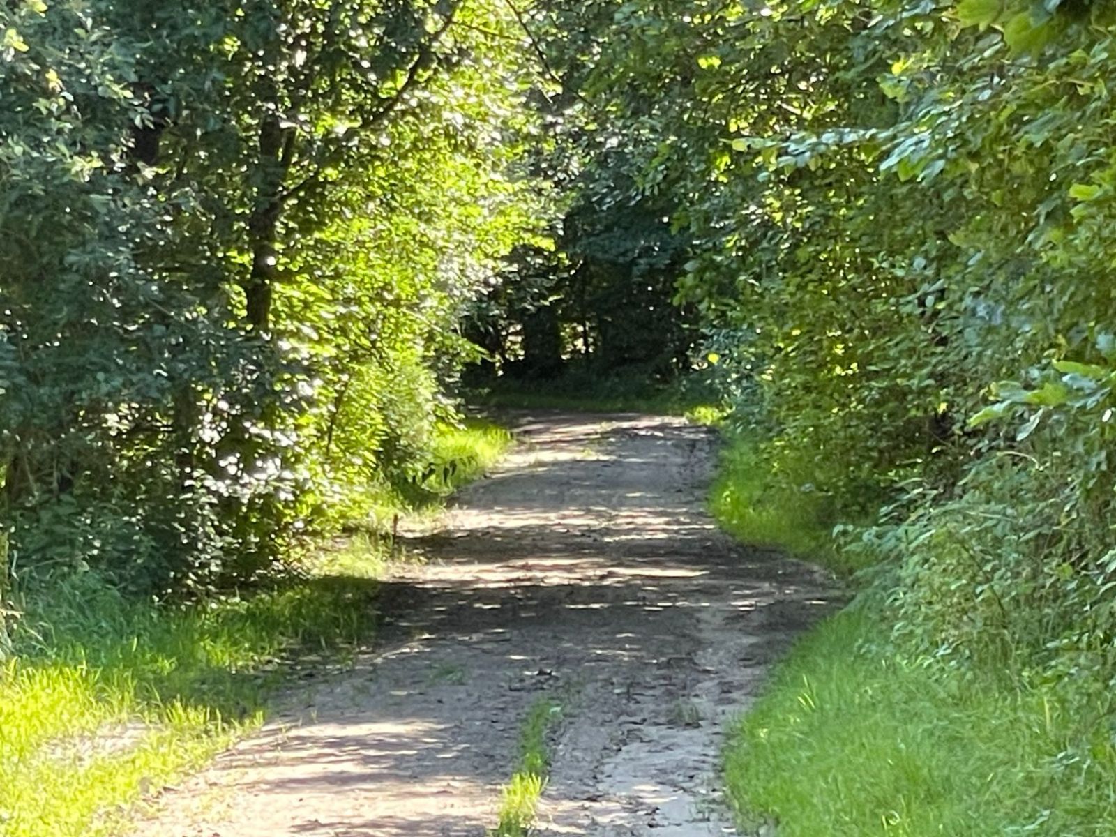 Bornlundvej