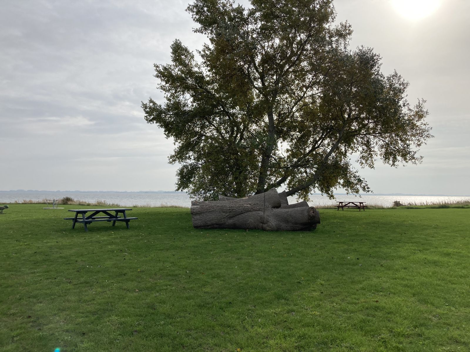Shelter & Naturlejrplads på Strynø - Øhavets Smakkecenter – miniature 5