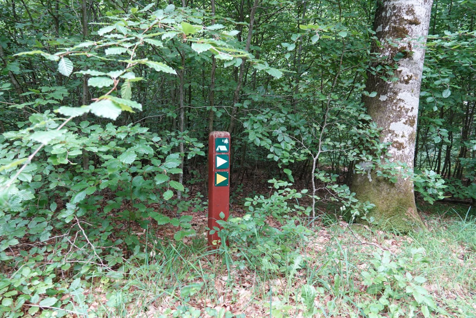 Shelterplads Vindum Skov - Shelter nr. 2 (ikke bookbar) – miniature 1