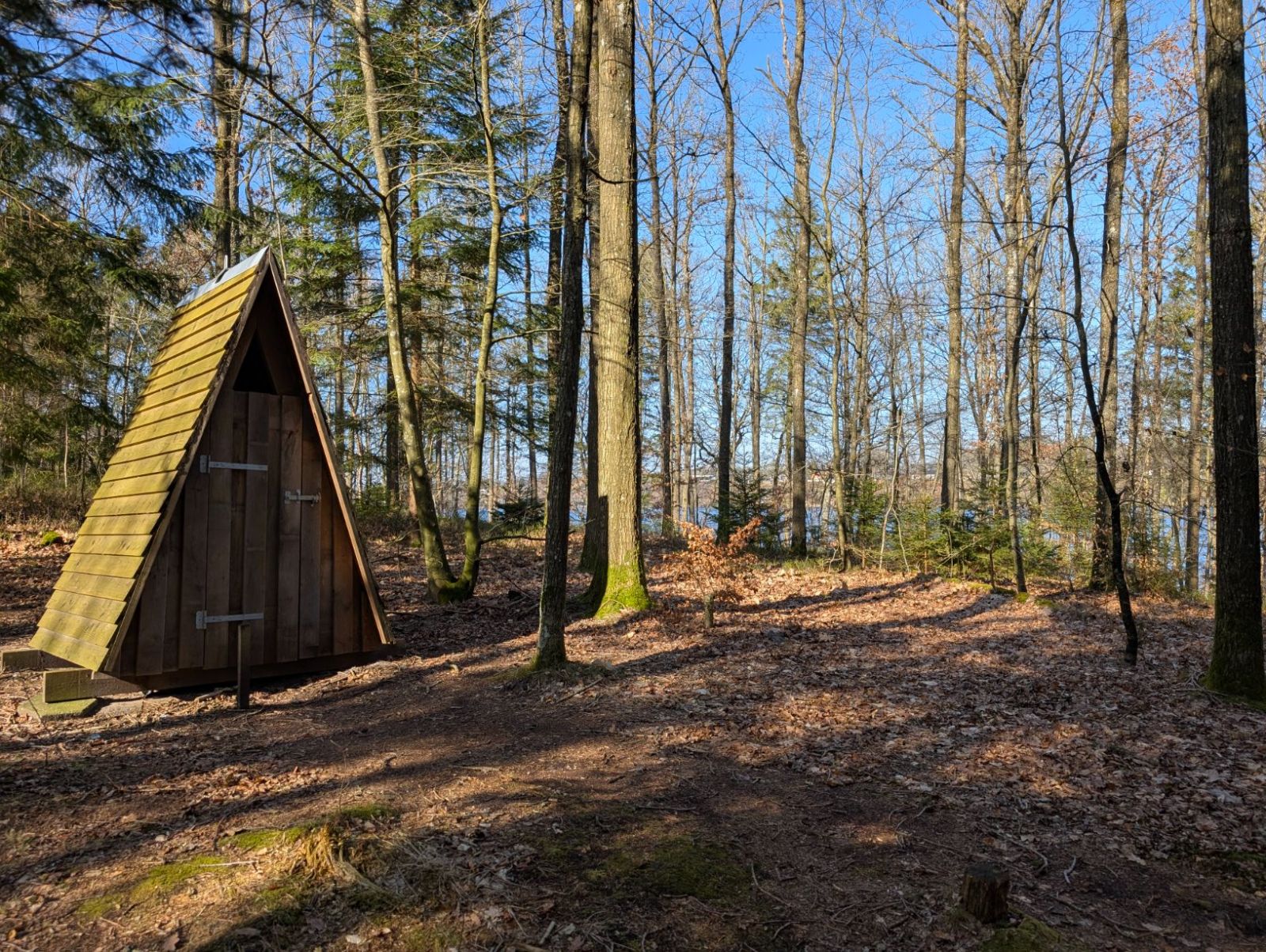 Muldtoilet på bakken i skoven bag bålpladsen