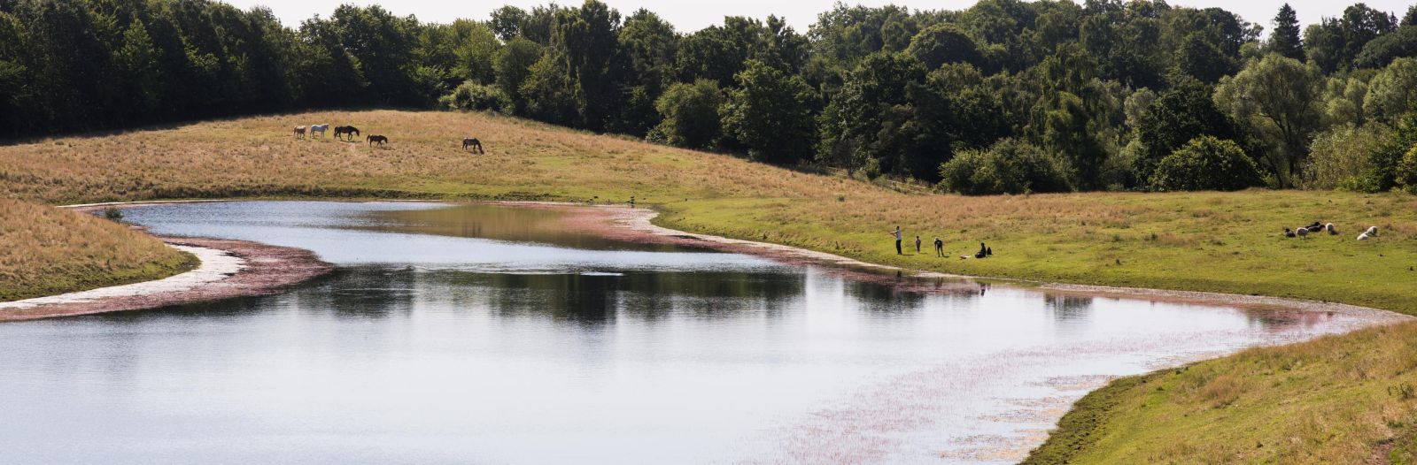 FamilieRuten