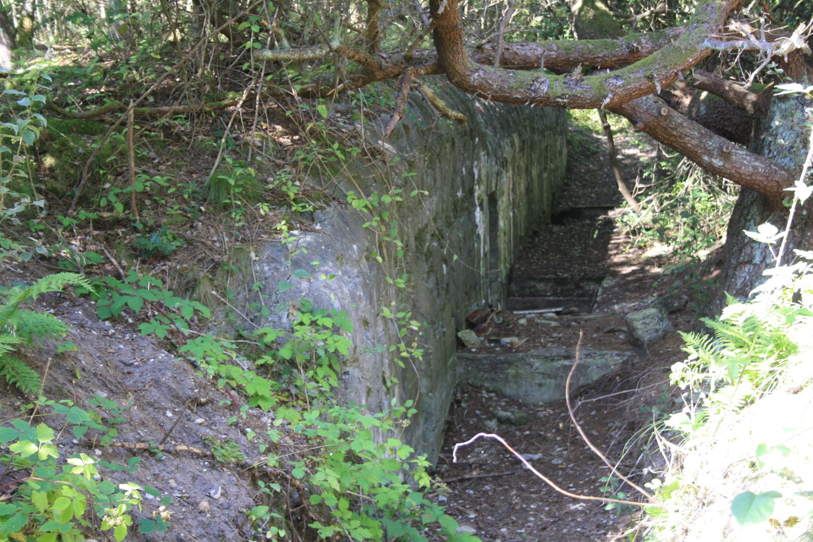 Natursti Oddesund Nord