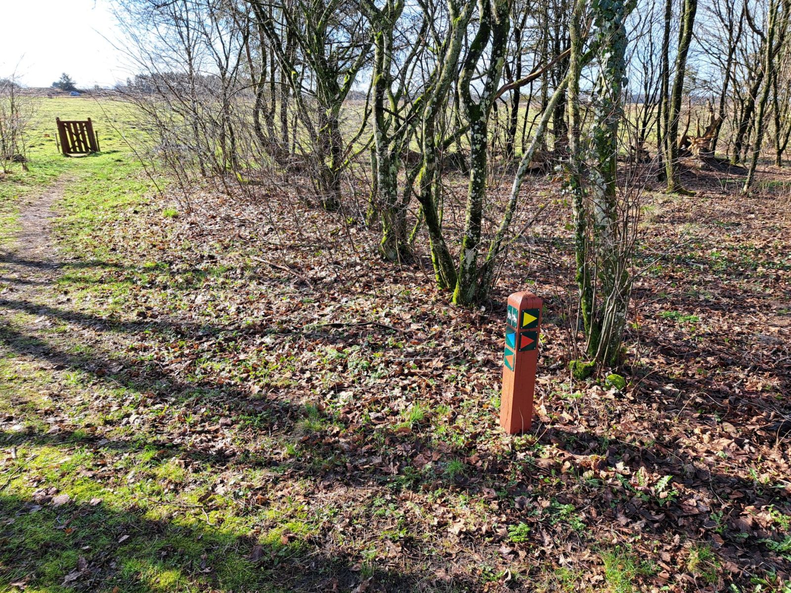 Ruteanvisning
