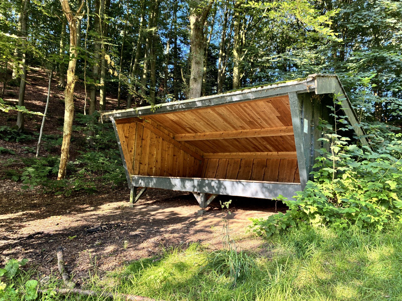 Shelter i skovkanten