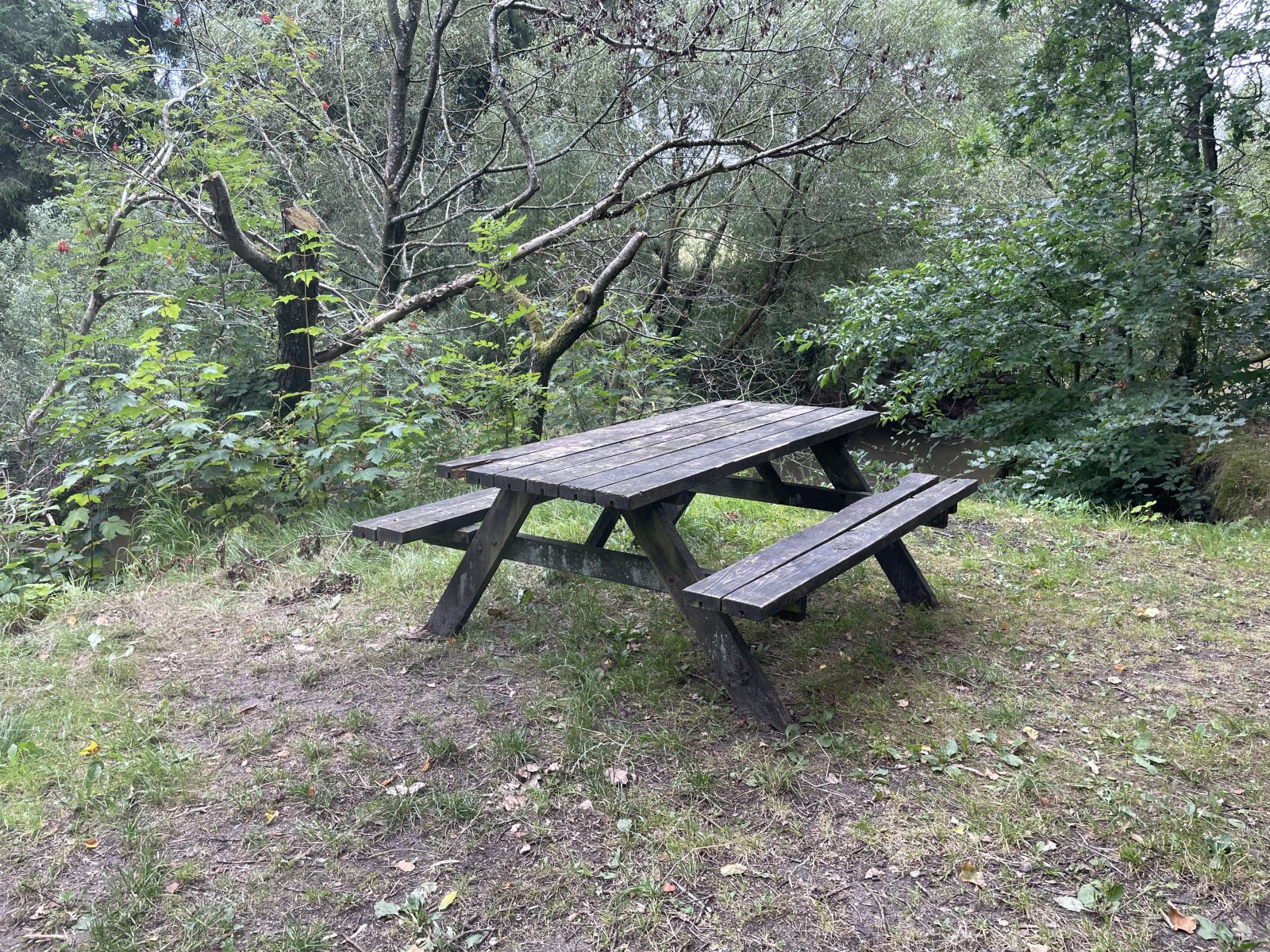 Borde-bænkesæt