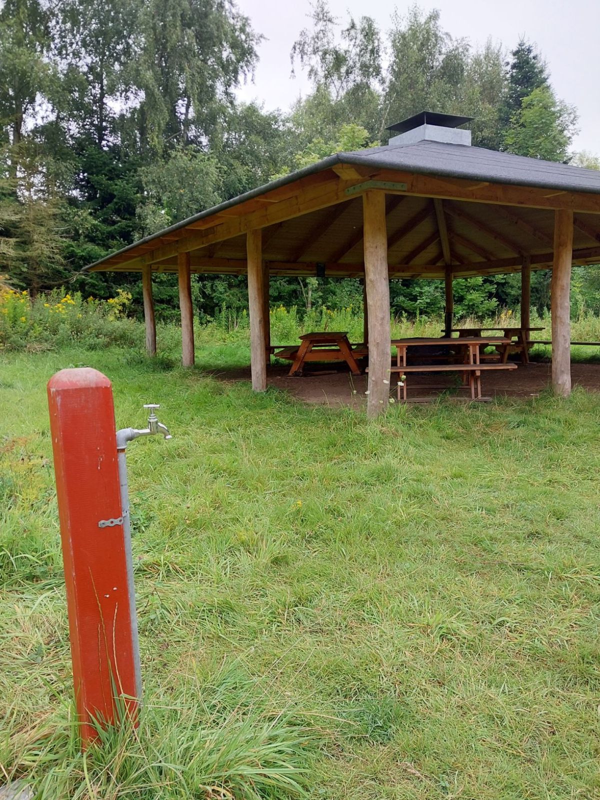 Vandhane ved siden af en bålhytte
