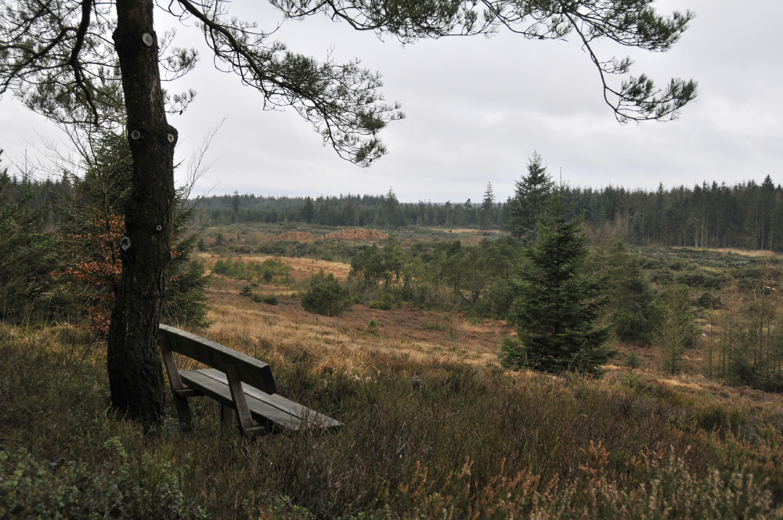 Gyttegård Shelterplads – miniature 2