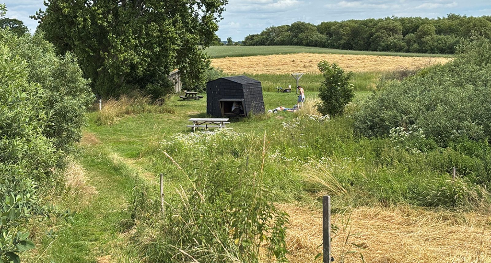 Shelterstemning