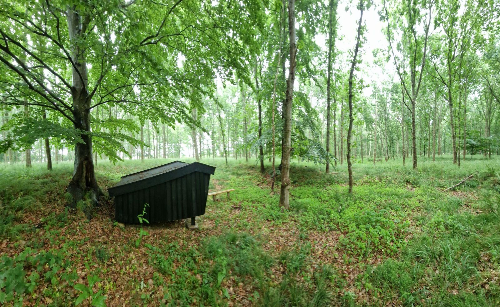 Vendehalsen shelter – miniature 2