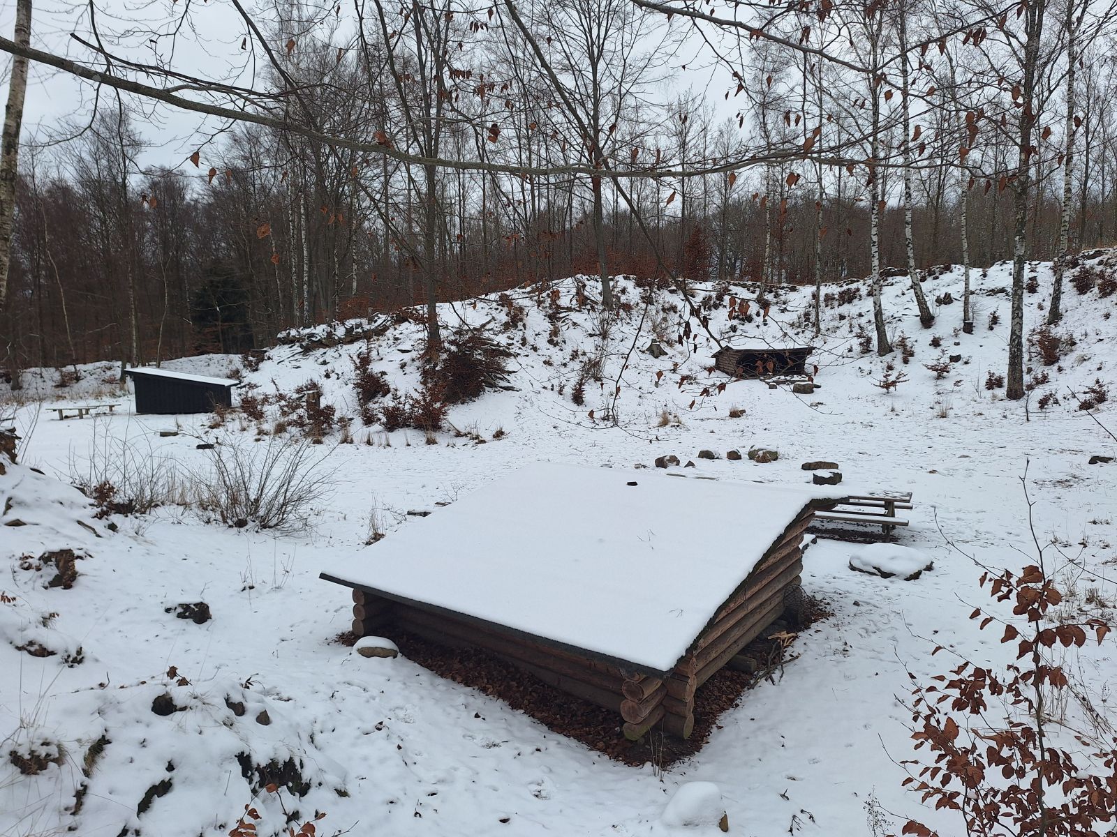 Shelter
