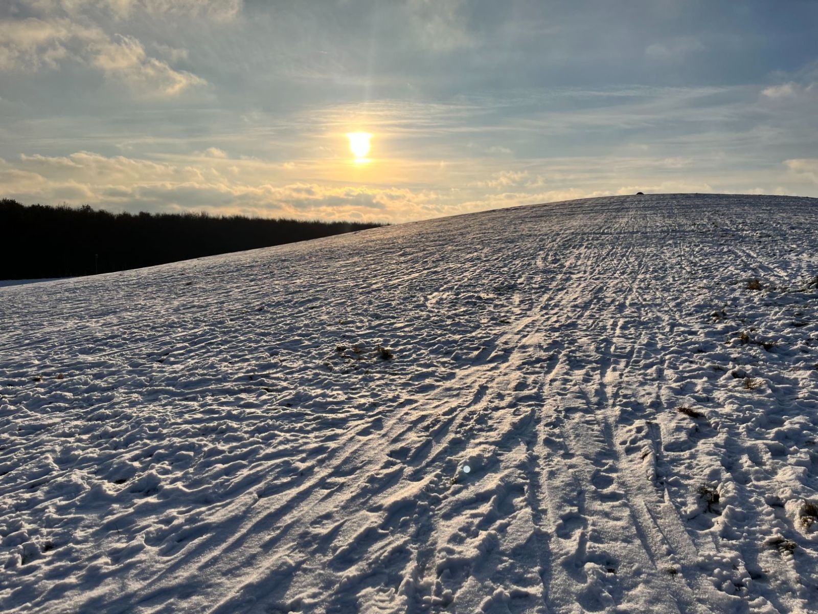 Billede af kælkebakken ved Østerhåbsvej med sne