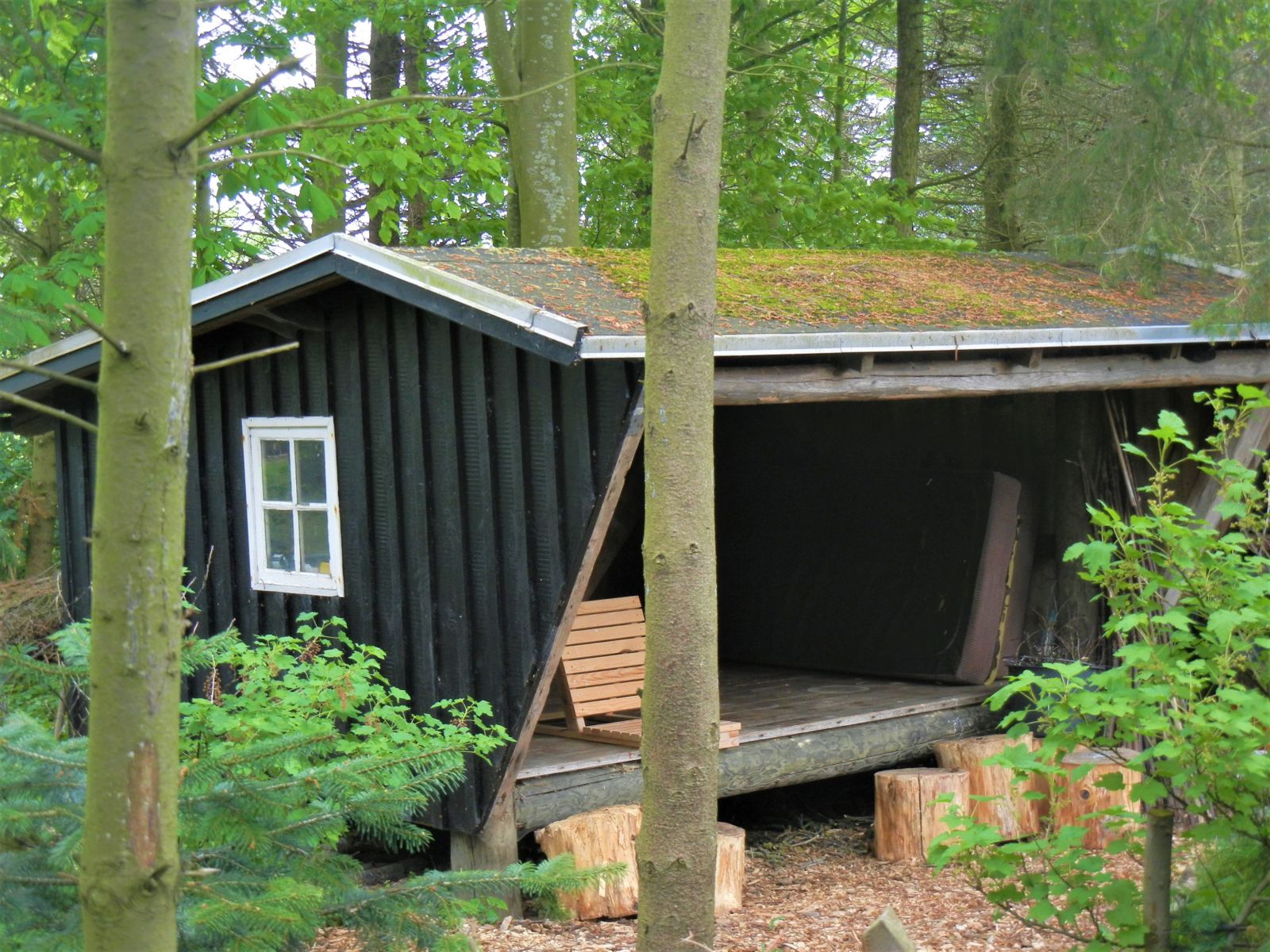Shelteren på Bjergagervej 6, Skårup – miniature 4