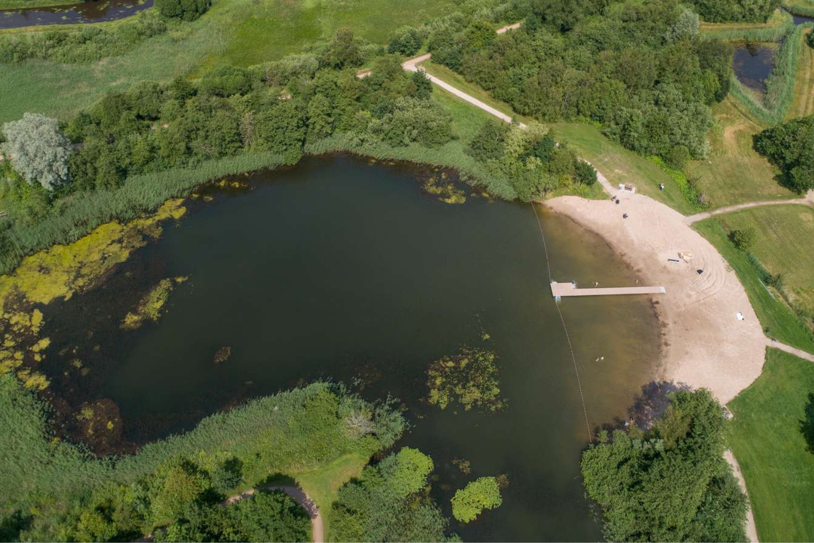 Badebro ved Gymnasiesøen