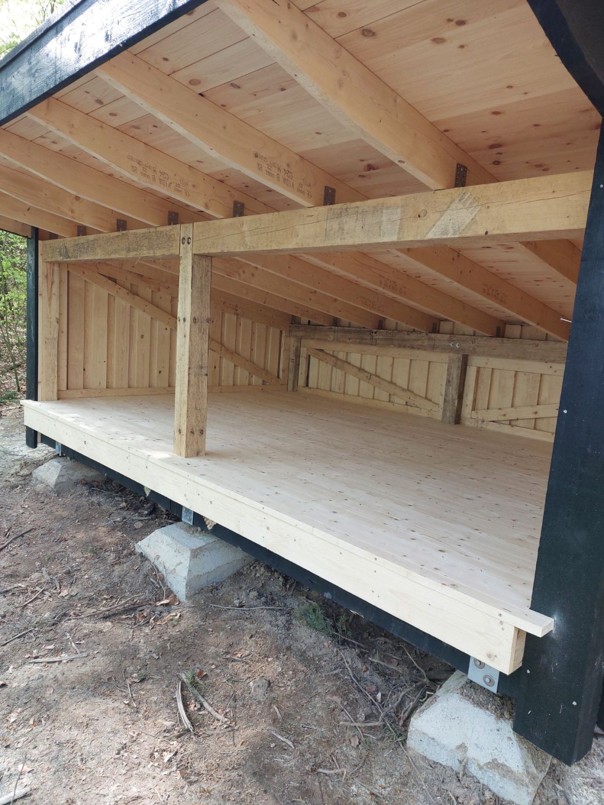 Ryget Skov, shelter ved Farum sø – miniature 5