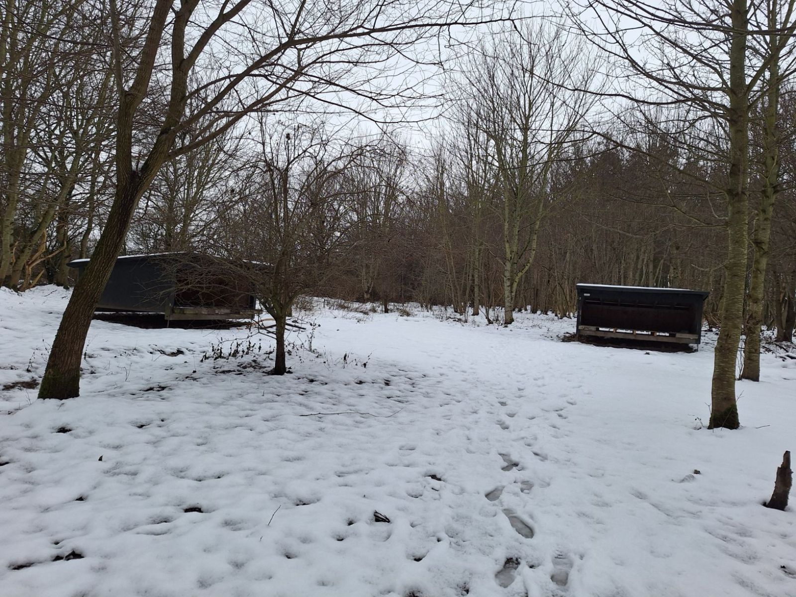 Lejrplads Randers Nordre Fælled  - shelter nr. 2 (ikke bookbar)                    – miniature 2
