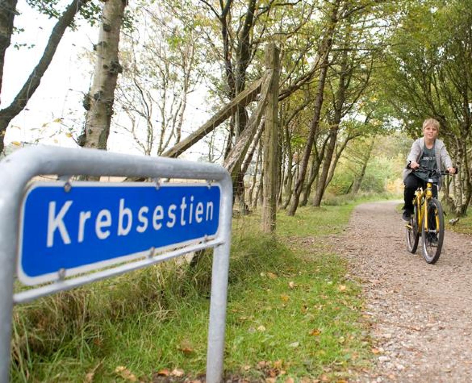 Sønderris energisti