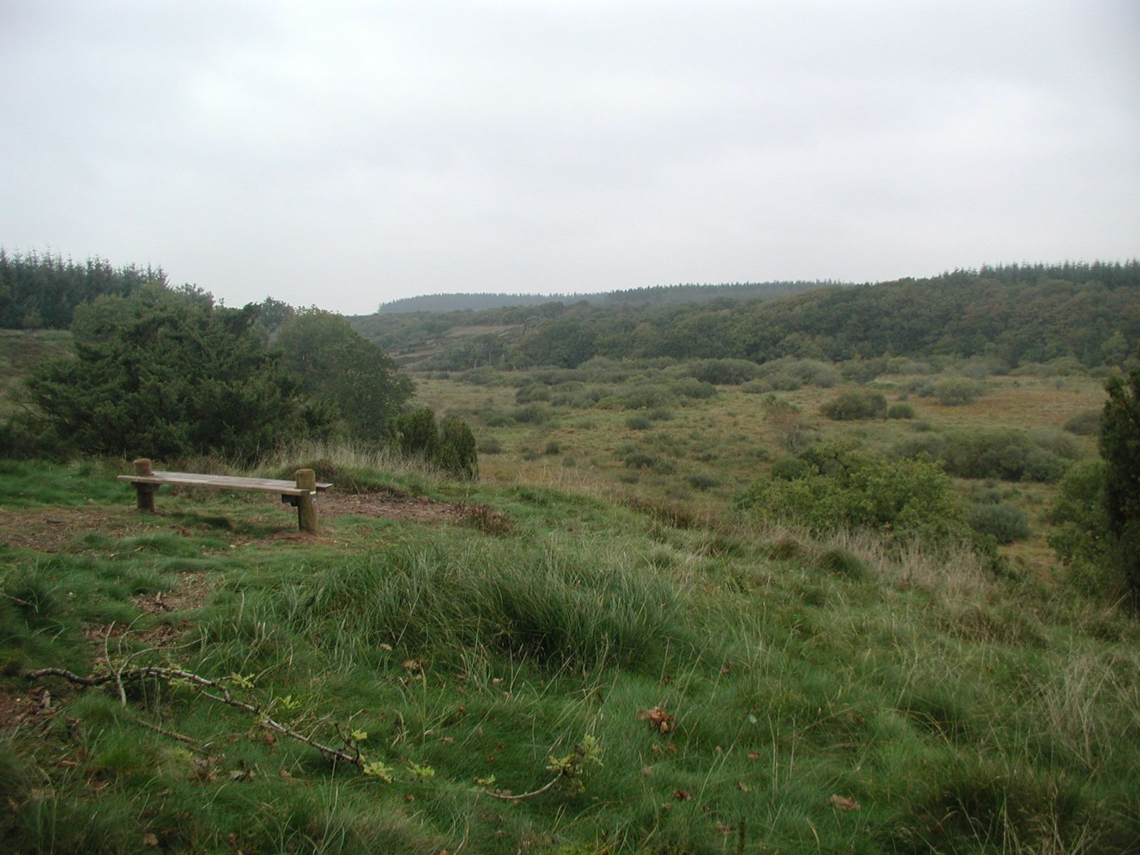 Bænk ved ådalstien