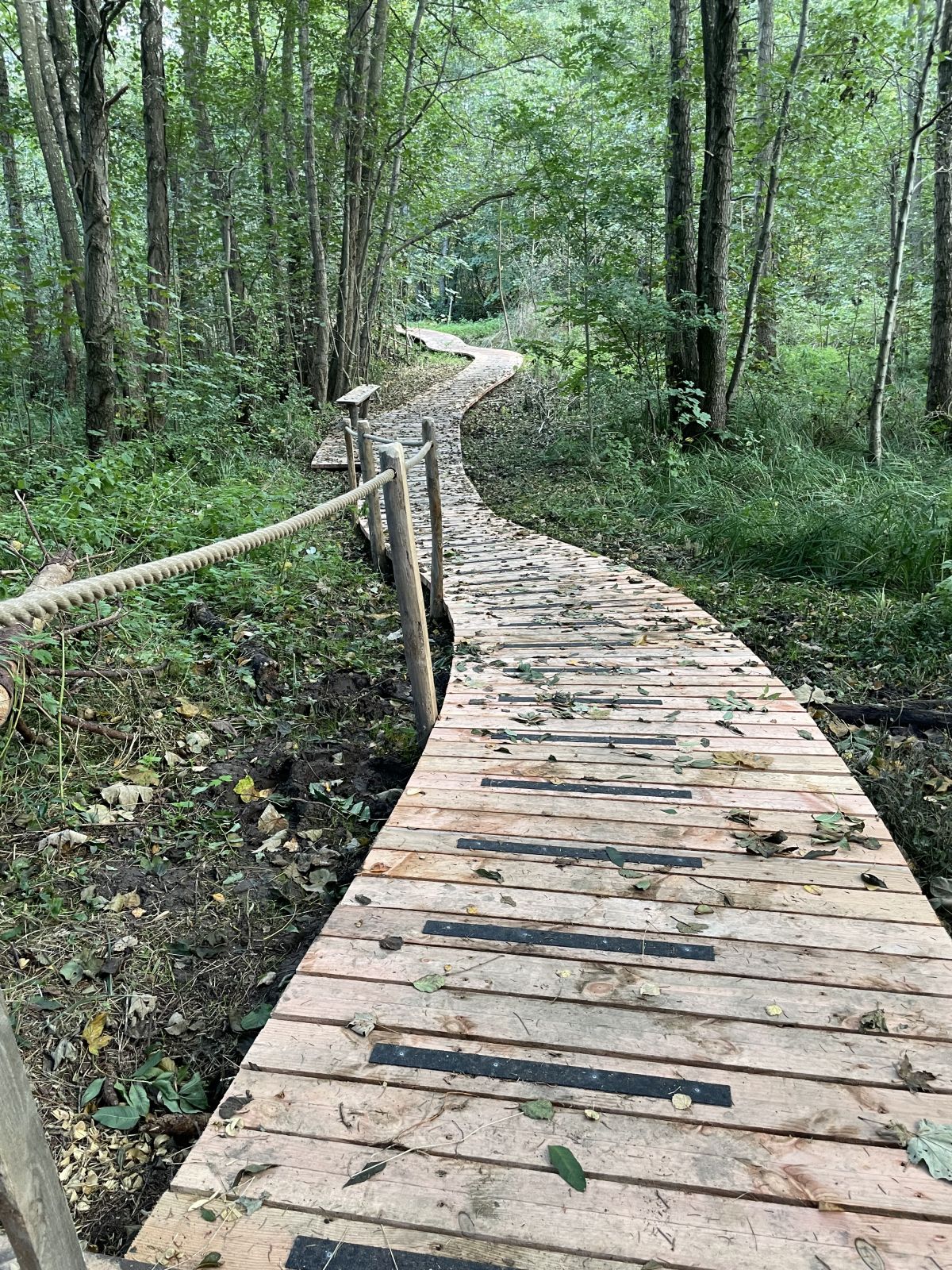 Fotoet viser træbroen (boardwalk) der fører langs med Erritsø Bæk 