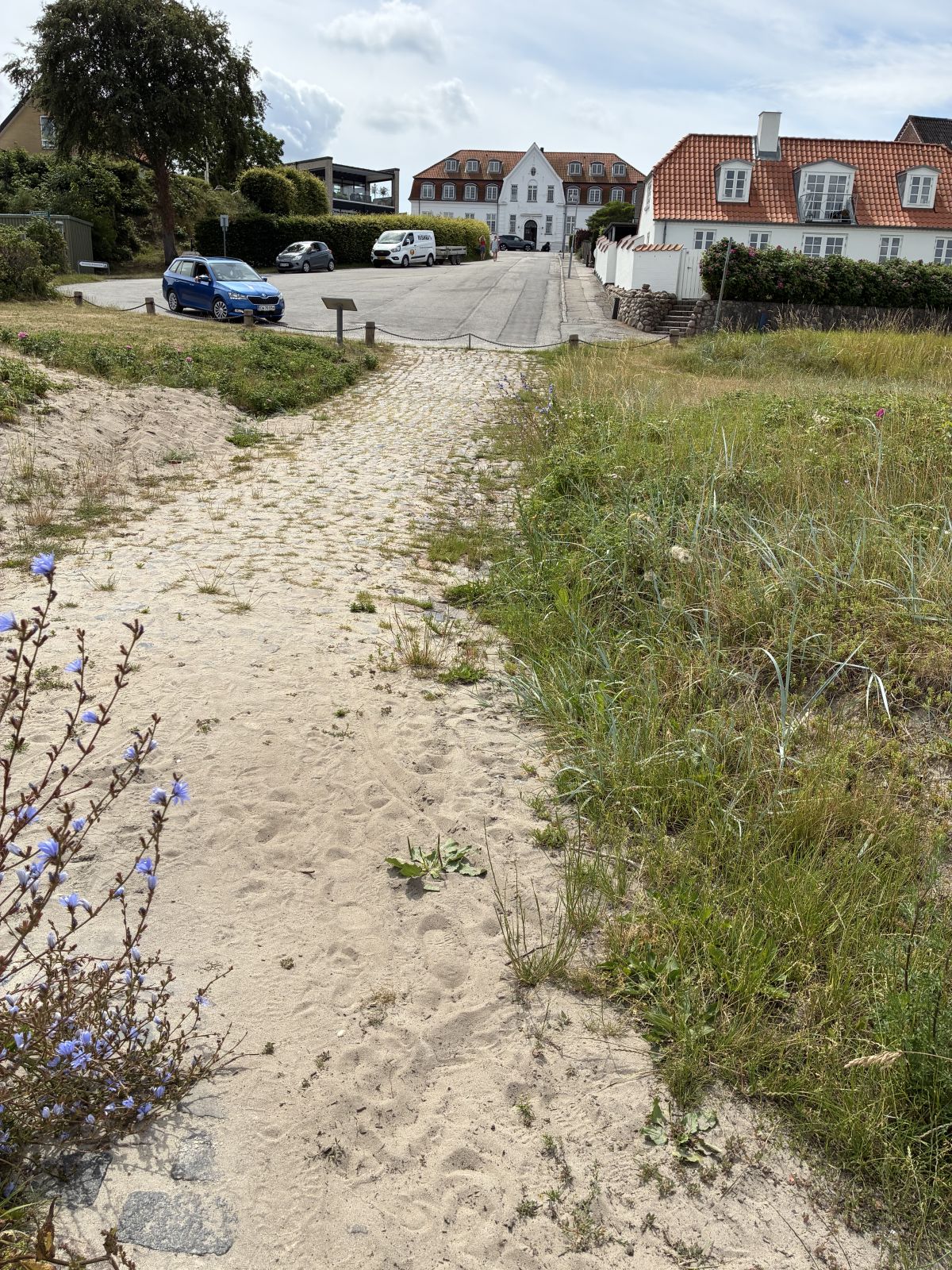sandet sti fra p-plads til strand
