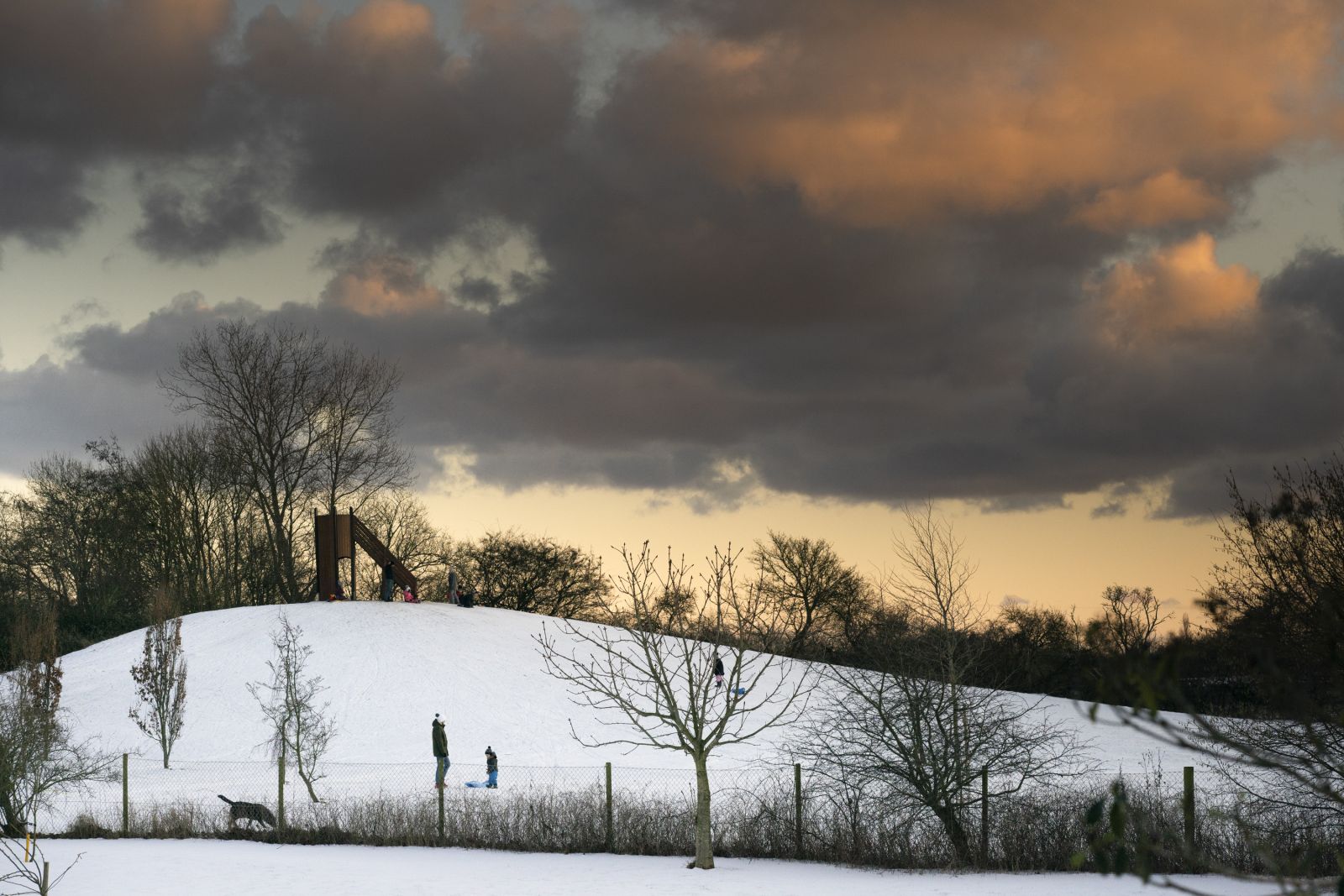 Billedet viser kælkebakken fyldt med sne set fra afstand