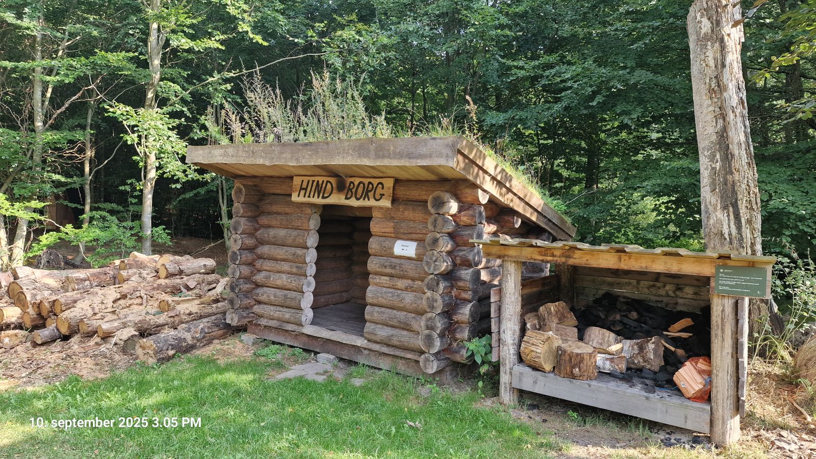 Shelter