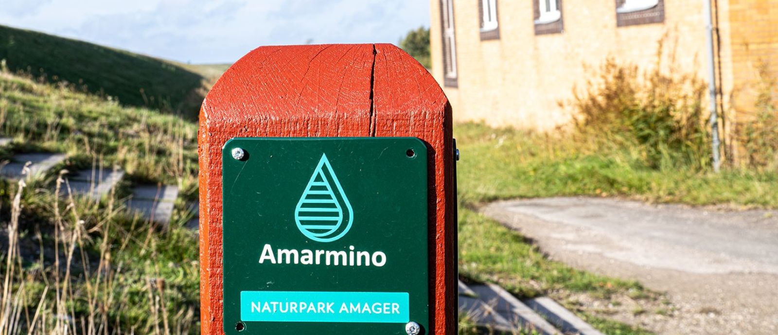 Amarminologo