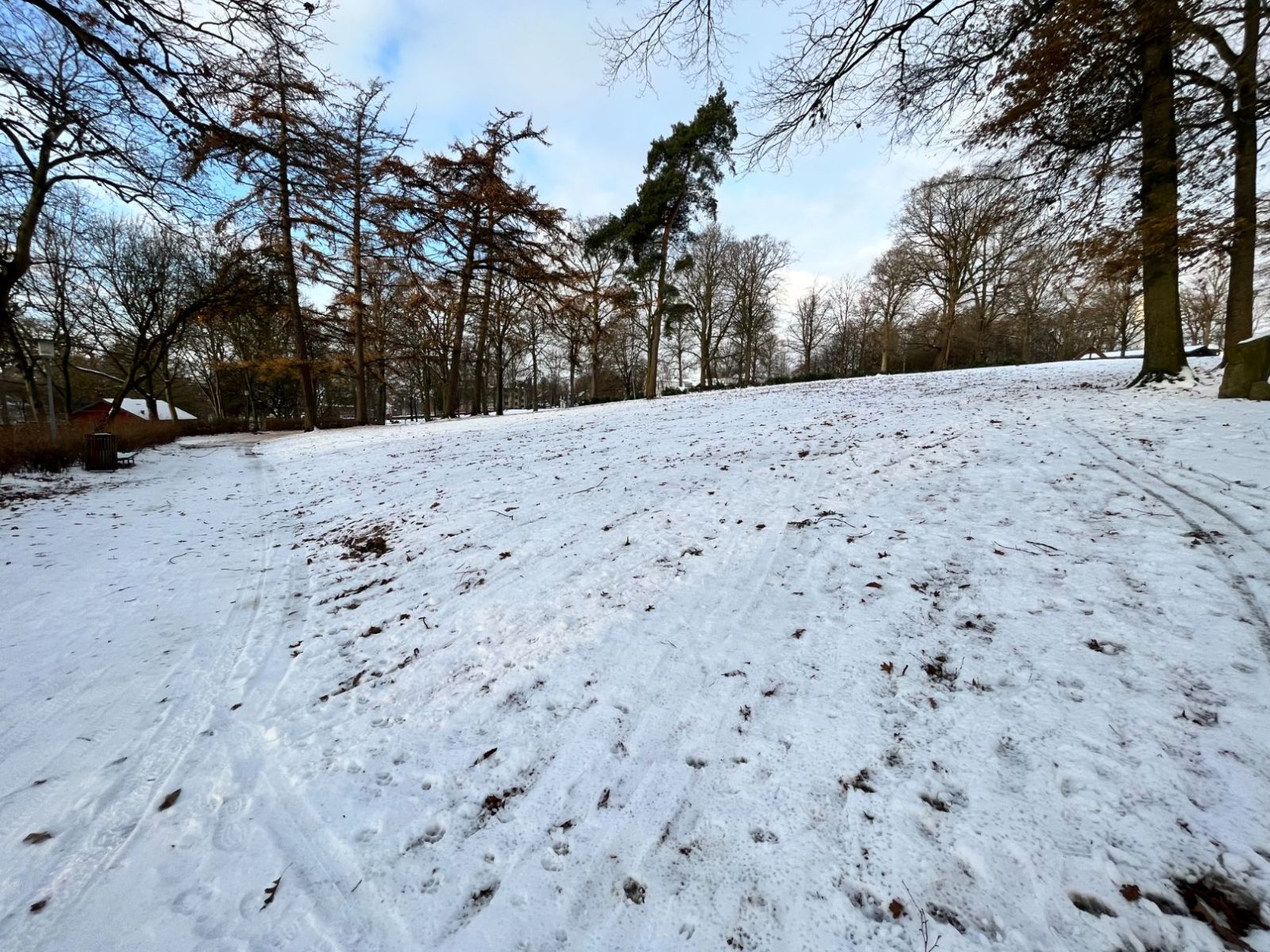 Billede af kælkebakken i Lunden med sne