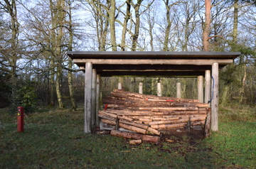 Sørup Dam Teltplads — photo 3